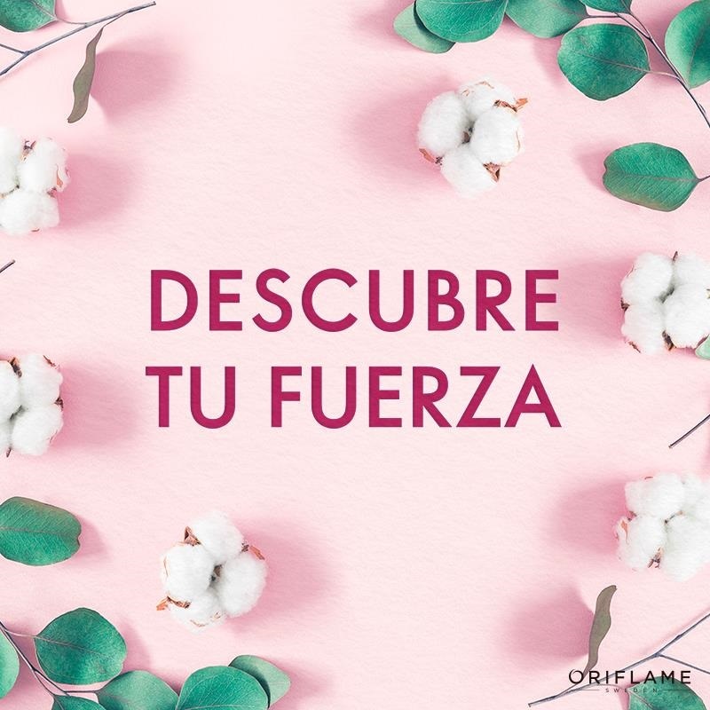 Por que emprender 